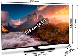 MEDION 108 cm (43 inch) QLED-tv (smart-tv, Dolby Vision HDR, VIDAA Store, Netflix, Prime Video, Disney+, DAZN, Paramount+, DTS X, Dolby Atmos, PVR, Bluetooth, MD 843600) — thumbnail 12