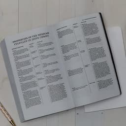 NKJV, Holy Bible, Soft Touch Edition, Leathersoft, Pink, Comfort Print: Holy Bible, New King James Version — thumbnail 5