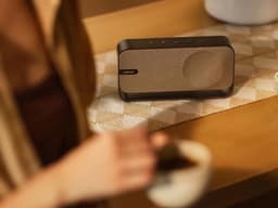 Bose SoundLink Home - Bluetooth Speaker - Bruin — thumbnail 7