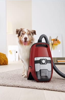 Miele Blizzard CX1 Cat & Dog PowerLine - Stofzuiger zonder zak - Herfstrood — thumbnail 19