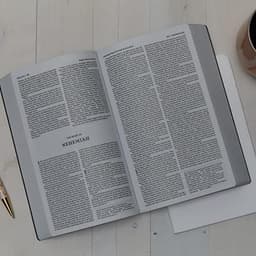 NKJV, Holy Bible, Soft Touch Edition, Leathersoft, Pink, Comfort Print: Holy Bible, New King James Version — thumbnail 4