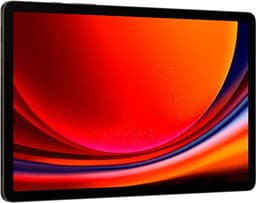 Samsung Galaxy Tab S9 - 5G - 256GB - Graphite — thumbnail 14