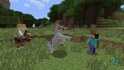 Minecraft - Nintendo Switch — thumbnail 10
