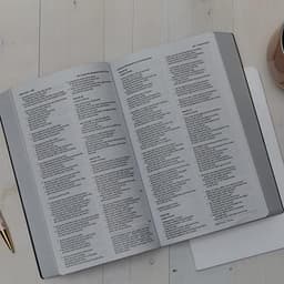 NKJV, Holy Bible, Soft Touch Edition, Leathersoft, Pink, Comfort Print: Holy Bible, New King James Version — thumbnail 6