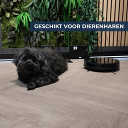 Tjilla C100 Robotstofzuiger met dweilfunctie - Nederlands product - Anti-klit borstel - Met laadstation - V-Slam navigatie - Proefperiode 30 dagen - Huisdieren - Dweilrobot - Bediening met App - Met afstandsbediening - 10.000pa — thumbnail 12