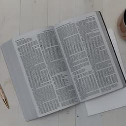 NKJV, Holy Bible, Soft Touch Edition, Leathersoft, Pink, Comfort Print: Holy Bible, New King James Version — thumbnail 2