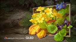 Hisense 55S7NQ Canvas TV - 55 inch - 4K QLED - 2024 — thumbnail 13