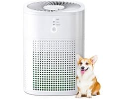 StayPowered Luchtreiniger - Aromatherapie en Stille Werking voor een Gezonde Slaapomgeving - 3in1 Filtersysteem - 360° Luchtinlaat - Nachtmodus - Eenvoudige Bediening - Geschikt voor Kleine Ruimtes - Zwart - Levering Sneller dan Aangegeven!