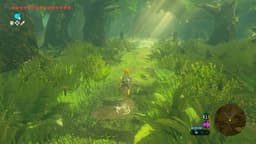 The Legend of Zelda: Breath of the Wild – Nintendo Switch 2 Edition — thumbnail 4