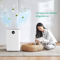 Benson Schwarzwald luchtreiniger - HEPA-filter verwijdert tot 99,98 % van fijne deeltjes tot 0,3 m (zoals stof, pollen en allergenen) — thumbnail 12