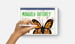 Apple iPad Air (2019) - 10.5 inch - WiFi + 4G - 64GB - Zilver — thumbnail 2