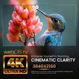 Q.2 | 43 inch TV | 4K UHD 3840x2160 | Smart TV | HDR | Randloos ontwerp | WiFi, Bluetooth | WebOS — thumbnail 8