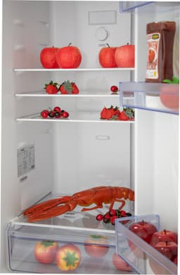 Frilec BONN275-NF-040CI - Koel-vriescombinatie - C Label - 5 Jaar Garantie - No Frost - 253 Liter - Inox — thumbnail 16