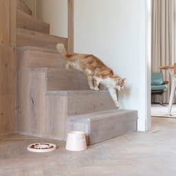 Hoopo® Tower - Ergonomische Kattenvoerbak - Wasmachine bestendig - Extra Zware Voerbak schuift niet weg - Gemaakt van Porselein — thumbnail 4