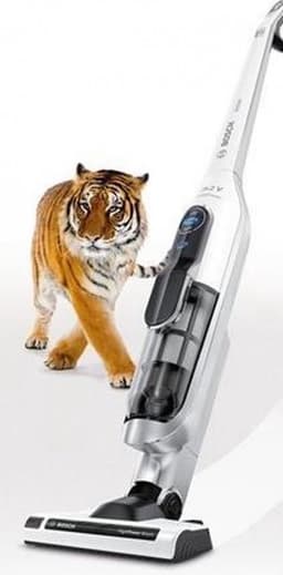 Bosch BCH6L2560 - Steelstofzuiger — thumbnail 7