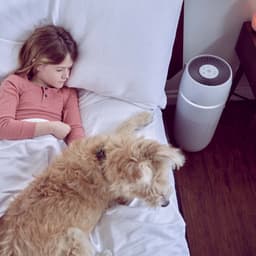 HoMedics Pet35 Luchtreiniger met Ionisator - 5 in 1 - HEPA Filter en UV-C - Dieren allergie - Zeer geschikt voor huishoudens met dieren — thumbnail 9