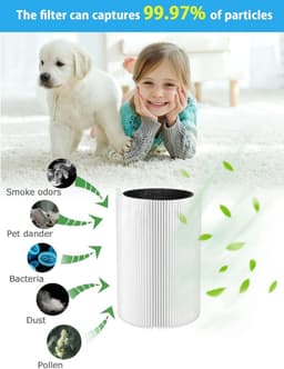 Filters voor luchtreinigers - 2 stuks - geschikt voor Blueair Blue Pure 411 - 411+ - 3210 luchtreinigers - H13 True HEPA-deeltjesfilter met actieve koolstof — thumbnail 7