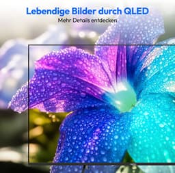 MEDION 125.7 cm 50" QLED Ultra HD TV Smart TV Dolby Vision HDR Dolby Atmos VIDA Store Prime Video Disney+ DAZN HbbTV PVR Bluetooth HD+, MD850602 — thumbnail 5