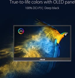ASUS ZenScreen OLED MQ16AHE - Portable USB-C Monitor - 360° Kickstand - 15.6 inch — thumbnail 6