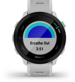 Garmin Forerunner 55 - Sporthorloge met GPS Tracker - Geschikt voor Hardlopen - 42mm - Whitestone — thumbnail 7