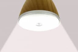 Swisstone BX 700 Bluetooth Luidspreker 15W (Beige-Bruin) — thumbnail 14
