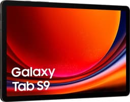 Samsung Galaxy Tab S9 - 5G - 256GB - Graphite — thumbnail 10