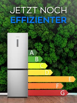 Heinrich´s HKS 3095 Koel- en vriescombinatie 304 liter - No Frost - XXL - koelvolume 207 l, vriesvak 97 l - stil 39 dB - energieklasse E - inox — thumbnail 5