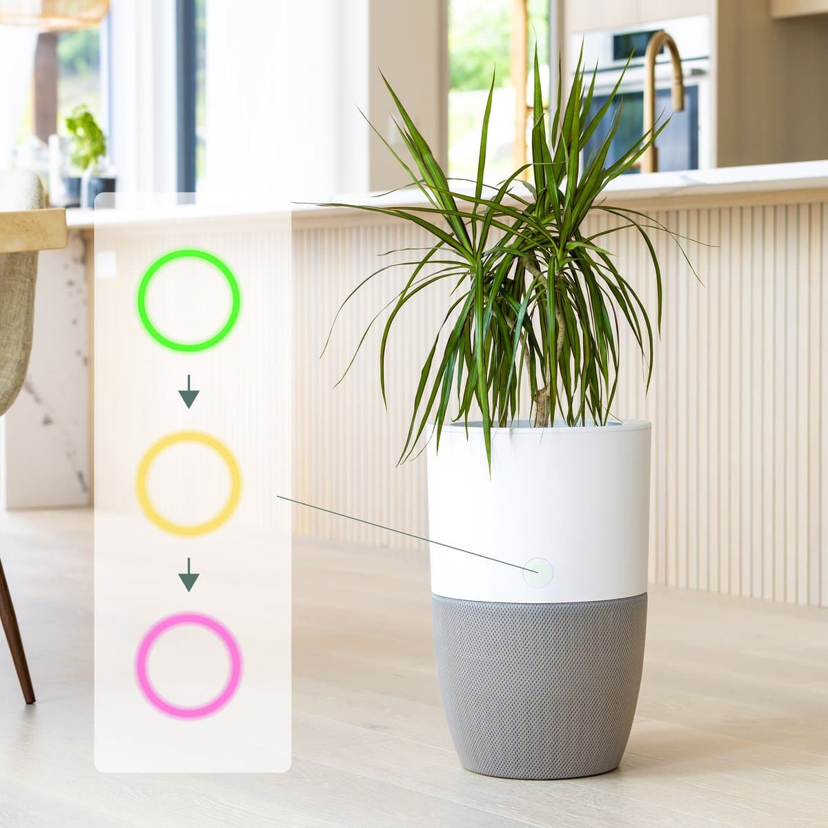 Stil, slim, stijlvol: Dupray Bloom luchtreiniger én plantenbak met medisch HEPA filter — afbeelding 1