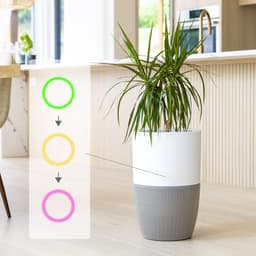 Stil, slim, stijlvol: Dupray Bloom luchtreiniger én plantenbak met medisch HEPA filter — thumbnail 1