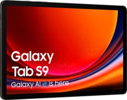 Samsung Galaxy Tab S9 - WiFi - 256GB - Graphite — thumbnail 9