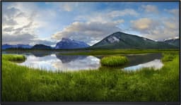 DELL 24 Monitor P2425H 23.8inch — thumbnail 1