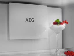 AEG Series 7000 TSC7M181DS Ingebouwd 249 l D Wit — thumbnail 3