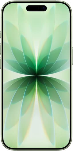 Apple iPhone 17 - 256GB - Salie — thumbnail 6