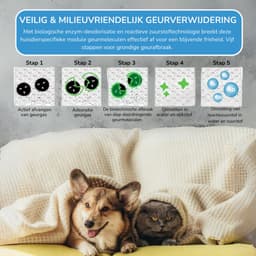 Friskair Luchtreiniger - Air purifier met HEPA Filter - Luchtkwaliteitsindicator - Tegen Allergieën, Huisstofmijt & Fijnstof - 300 m³/h - Slaapstand - Ionisator - Bedienbaar via App — thumbnail 12