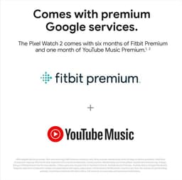 Google Pixel Watch 2 – Zilverkleurige kast – Blauw sportbandje – GPS – 5ATM – Fitbit functies – 24u batterij – AMOLED scherm — thumbnail 8