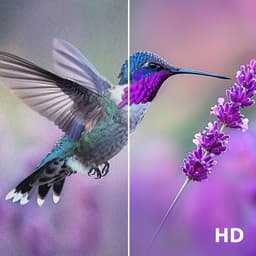 STRONG - TV 32'' (80 cm) HD SRT32HG6733C - Slimme Google TV - Wifi - Chromecast - Google Assistant - 2 HDMI Poorten (1 ARC) + USB Multimedia + AV + Terrestrial/Sat — thumbnail 11