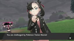 Pokémon Sword - Nintendo Switch — thumbnail 11