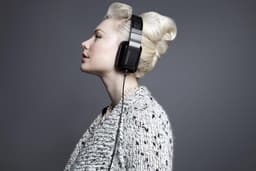Monster Inspiration Titanium - Over-ear koptelefoon - Zwart — thumbnail 12
