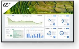 Sony BRAVIA Professional FW-65BZ30L display — thumbnail 3