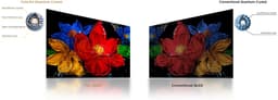 TCL 40S59K - 40 inch - Full HD QLED - 2025 - Smart TV — thumbnail 11