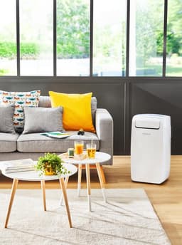 Rowenta Intense Cool AU4010F0 - mobilele Aircooler — thumbnail 6