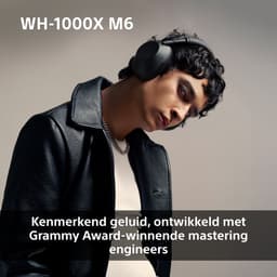 Sony WH-1000XM6 - Draadloze koptelefoon met Noise Cancelling - Roze — thumbnail 6