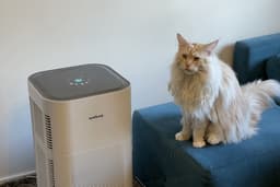 Vestfrost VP-A1S70WH - Slimme luchtreiniger - 3 Filtersysteem - Plasma-Ionisator - 80 m² - 620 m³ /u - UV-Lichttechnologie - HEPA Filter - WiFi - Nachtmodus - 17 dB — thumbnail 9