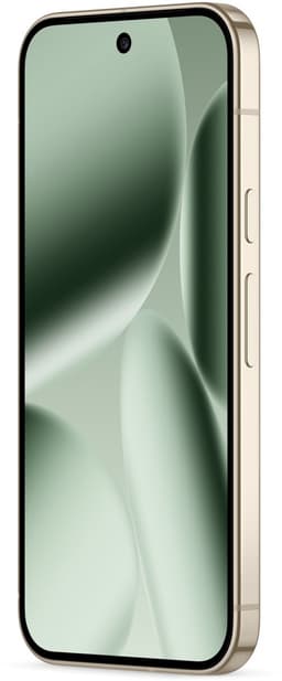 Google Pixel 10 Pro 5G - 16GB/256GB - Groen (Jade) — thumbnail 4