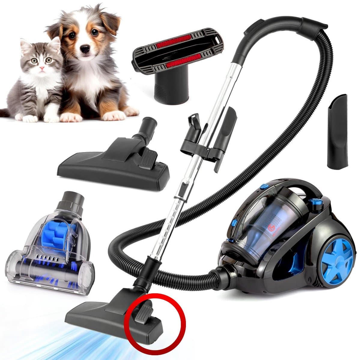 AG3100 Stofzuiger Zonder Zak - Stofzuigers - Vacuum Cleaner Zakloos - Geschikt Voor Dierenharen -900W - Sterke Zuigkracht - Blauw — afbeelding 1