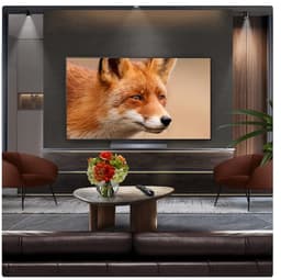LG C5 OLED55C55LA - 55 inch - 4K OLED Evo - 2025 - Smart TV — thumbnail 8