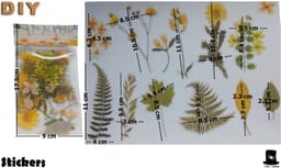 Bob Online ™ - 40 Stuks – Deco Stickers - Geel Bloemenstickers PET – Transparant Bloemstickers voor Scrapbooking, Kaarten Maken, Inpakken, DIY Ambachten, Waterflessen, Telefoonhoesjes, Laptops – Flower Stickers PET – Retro Floral Stickers Yellow — thumbnail 2