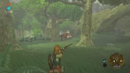 The Legend of Zelda: Breath of the Wild - Nintendo Switch — thumbnail 32