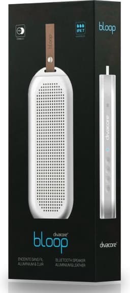 Divacore DVC4008S Zilver draagbare luidspreker — thumbnail 6