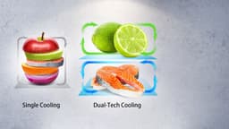 Hisense RF540N4SBI2 - Amerikaanse koelkast - RVS - French door - Inhoud 302 liter - SuperCool - MetalCooling — thumbnail 11